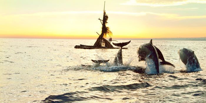 5 Days Dolphin Lovina in Bali