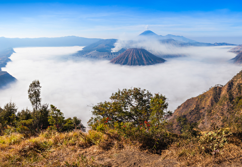 4 Days Refreshing Holiday in East Java