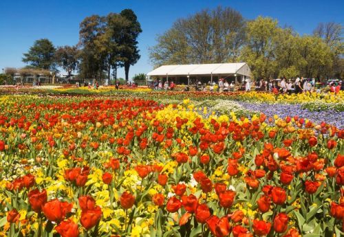 7 Days Springs of Australia