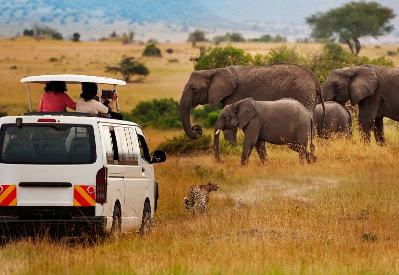 9 Days Scenic South Africa