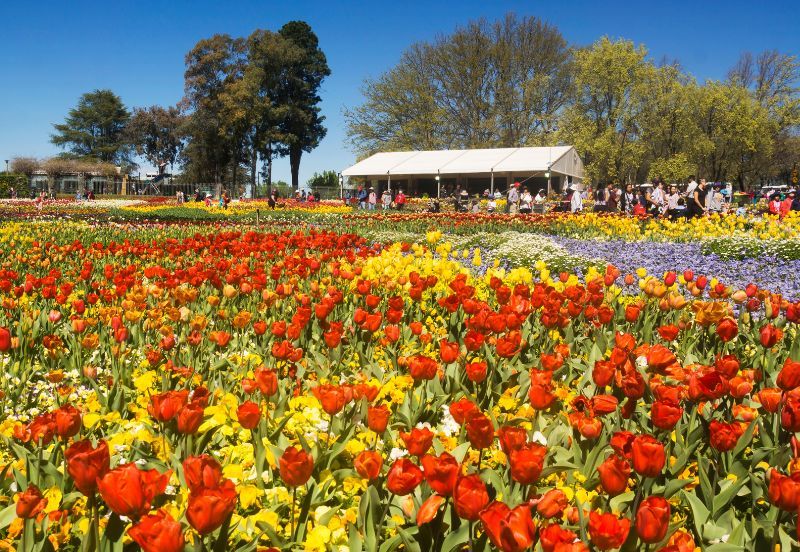 7 Days Springs of Australia